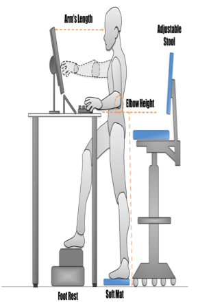 treloar-physiotherapy-clinic-ergonomics-standing-desk