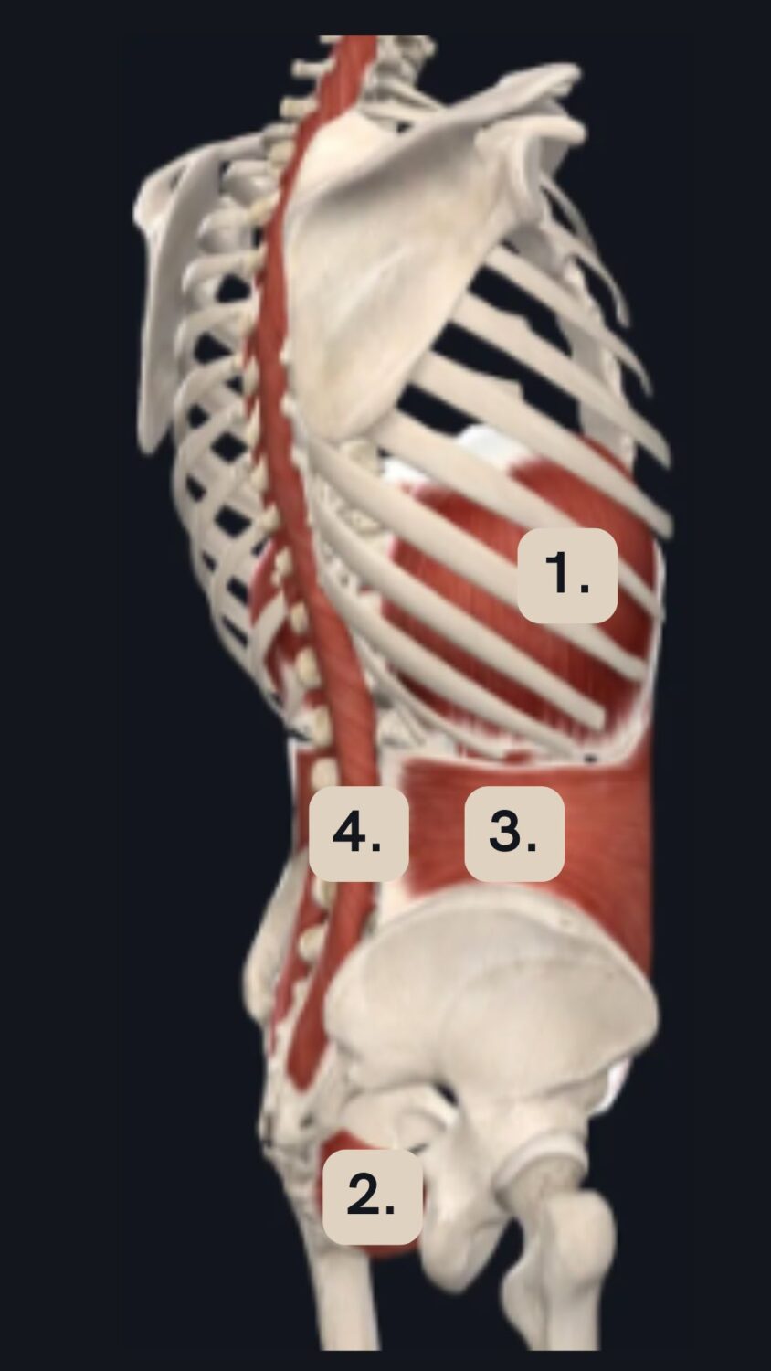 Breath Core Core Strengthening: Beyond the Six-Pack